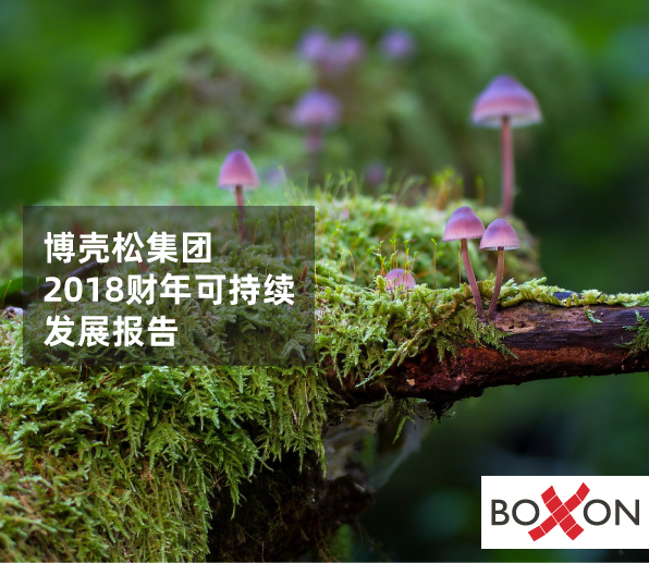Boxon csr-report-CN